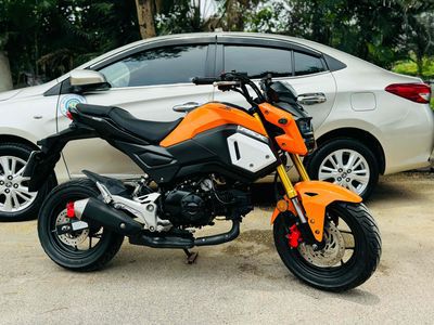 Honda MSX125 biển TP- 2020 xe lướt đẹp mini pkl