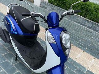 Bán Elit 50cc học sinh chính hãng