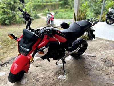 Honda MSX 125cc - biển số siêu tầm có GL tay ga