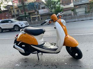 Xe scoopy 50 đời cao zin đẹp mê ly