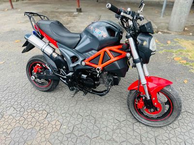 Ducati Mini giá rẻ