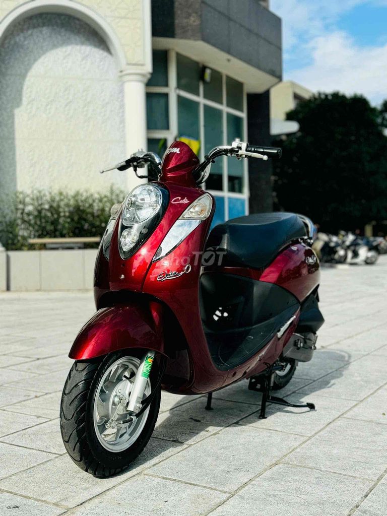 SYM Elite 50cc mới cứng 2021 zin 100% 29AB