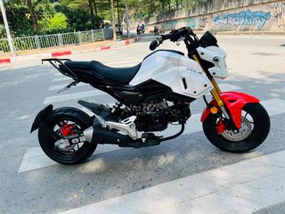 Honda MSX 125 biển 29 đời mới-Xe lướt đẹp miniBike