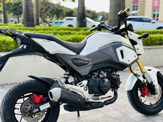 HONDA MSX 125 ĐÈN NÉT NGUYÊN ZIN BIỂN 29