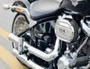 Harley Davidson FATBOY 114 2020 o TPHCM gia 165tr MSP #1704239