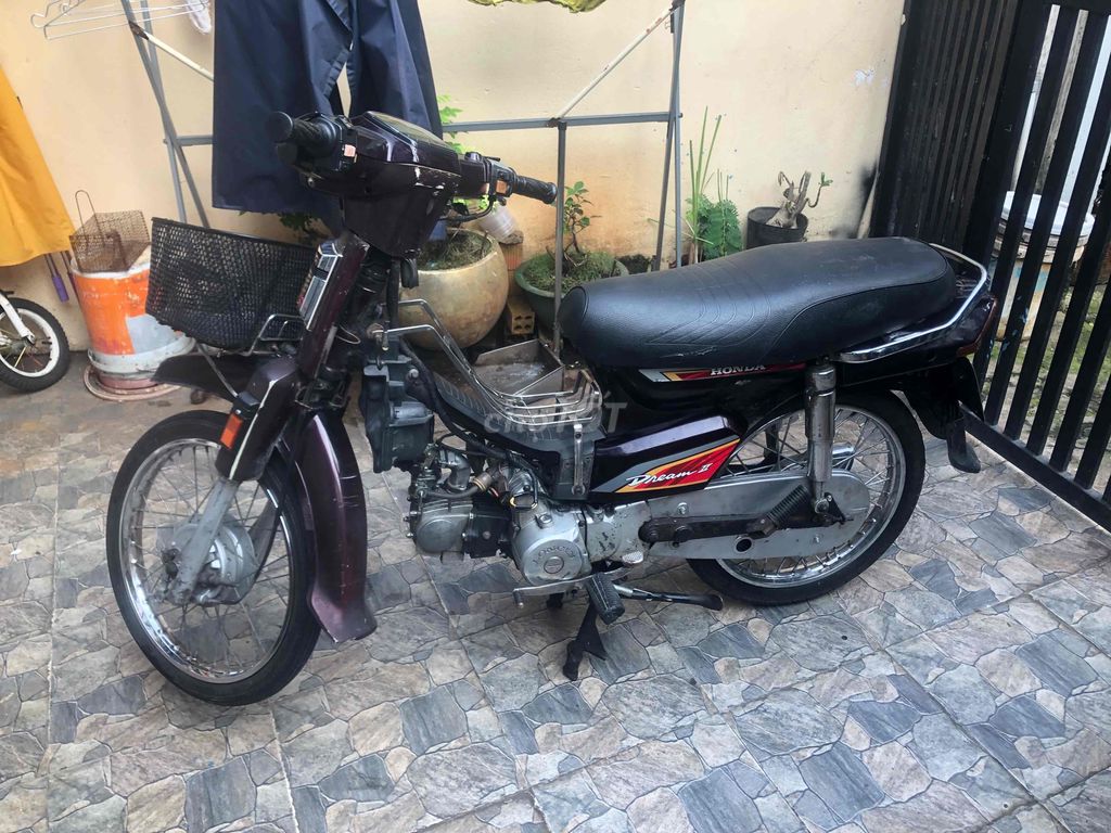 longcin biển 9678