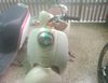 Ban xe scoopy  Nhat noi dia o Ha Noi gia 12.5tr MSP #2249476