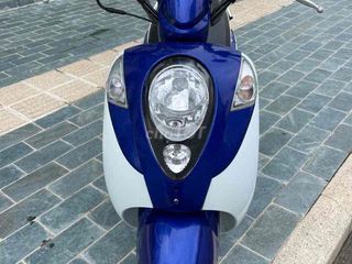 Bán Elit 50cc học sinh chính hãng