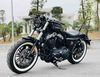Harley Davidson Forty-Eight 48 2019 o TPHCM gia 120tr MSP #1711245