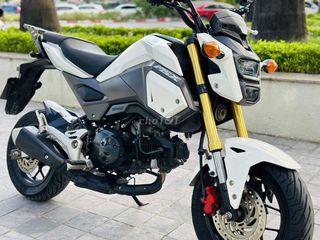 HONDA MSX 125 ĐÈN NÉT NGUYÊN ZIN BIỂN 29