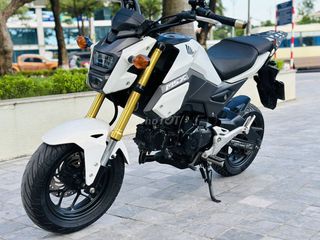 HONDA MSX 125 ĐÈN NÉT NGUYÊN ZIN BIỂN 29