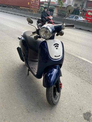 Xe scoopy 50 đời cao zin chât đẹp như hình