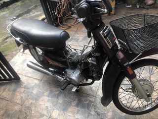 longcin biển 9678