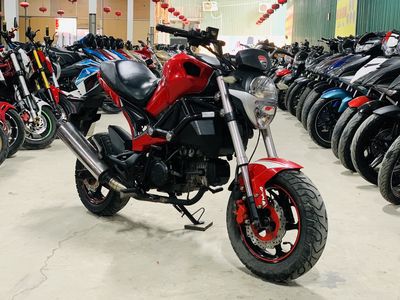 XE MÁY THANH TÙNG_DUCATI MONSTER 110 NHẬP MÁY ZIN