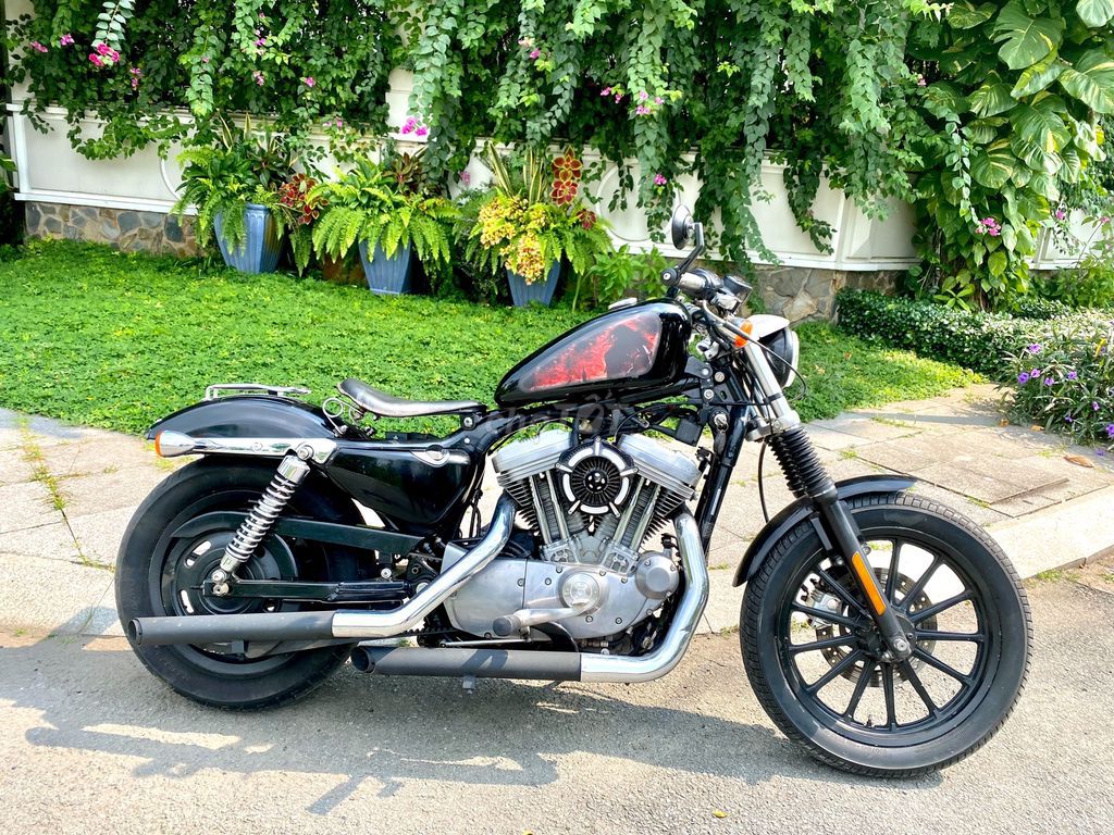 Harley Davidson 883 - Harley883