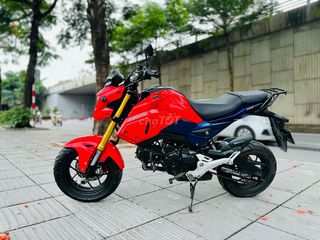 Honda MSX biển 29 đời chót xe lướt mới moto mini