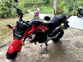 Honda MSX 125cc - biển số siêu tầm có GL tay ga