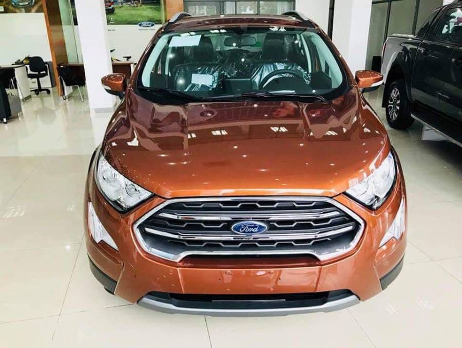 Ford Ecosport 2019 chinh hang gia tot
