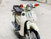 Cub 50cc Vang Trang - 2020 o Ha Noi gia 7.5tr MSP #2240576